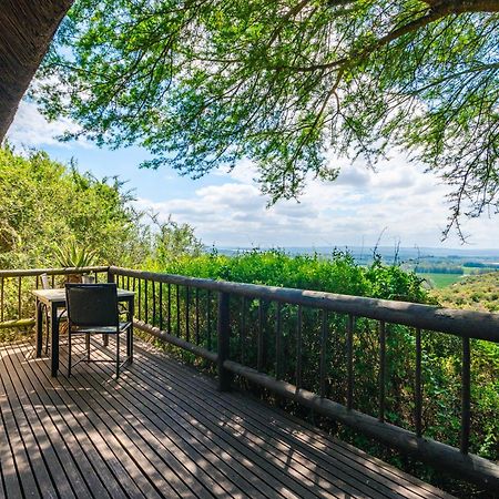 Hitgeheim Country Lodge Addo Zewnętrze zdjęcie