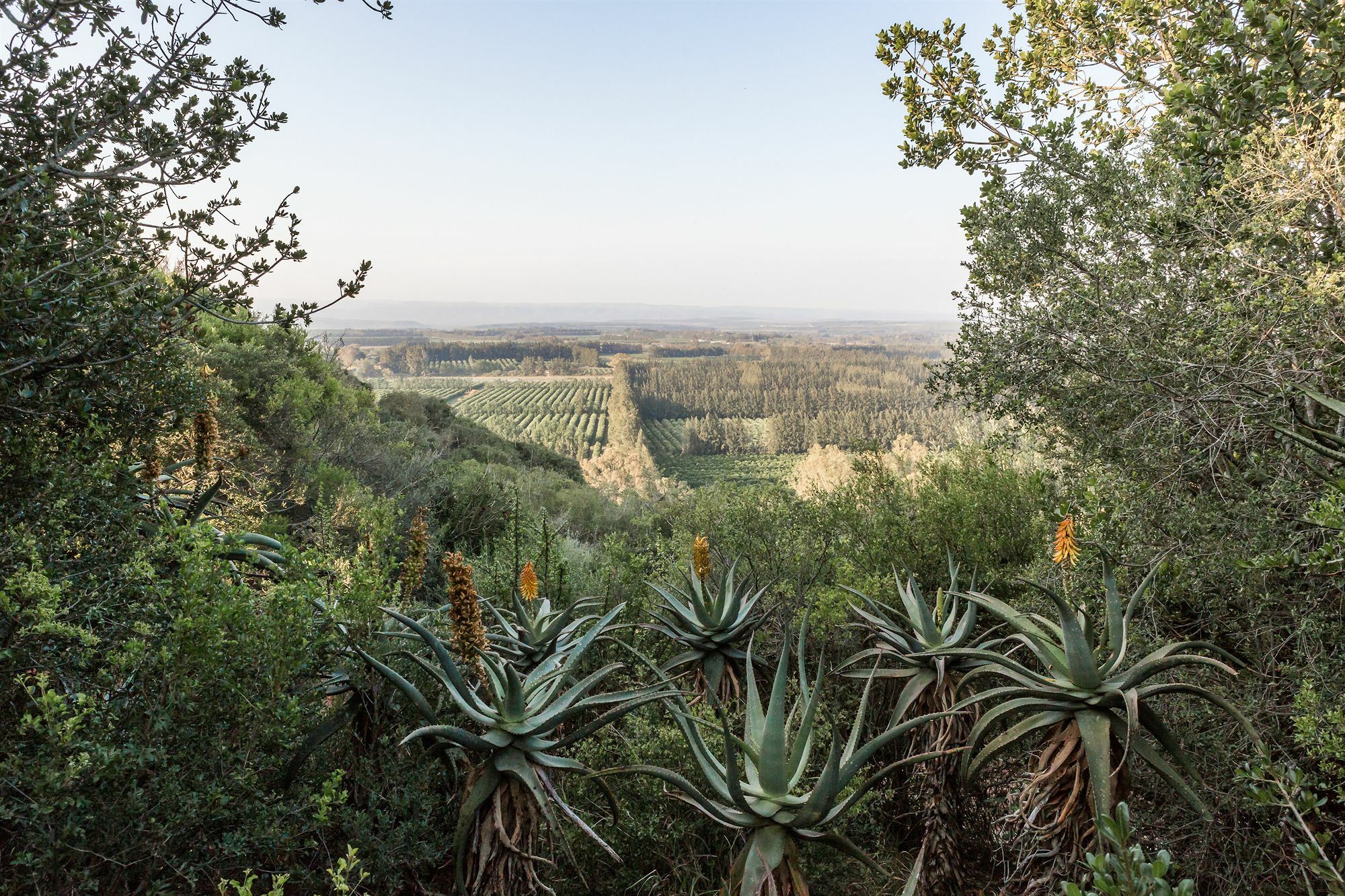 Hitgeheim Country Lodge Addo Zewnętrze zdjęcie